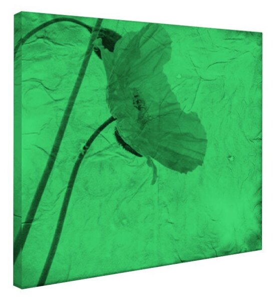 Tablou fosforescent Mac