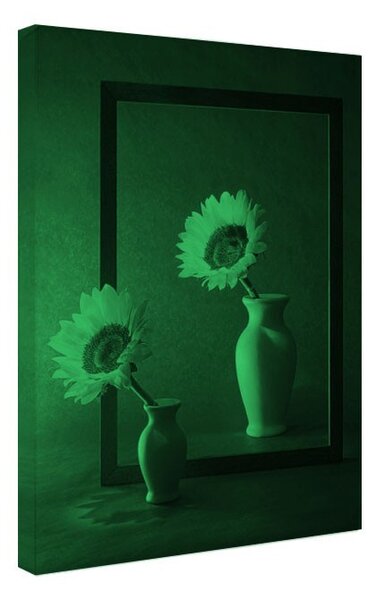 Tablou fosforescent﻿ Floarea soarelui