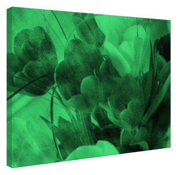Tablou fosforescent Lalele portocalii