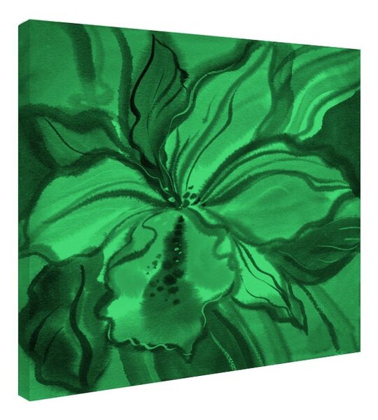 Tablou fosforescent Orhidee abstracta