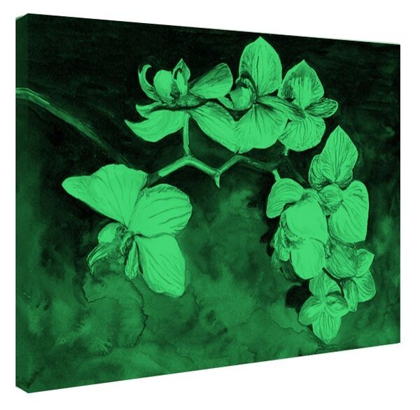 Tablou fosforescent Orhidee pictata