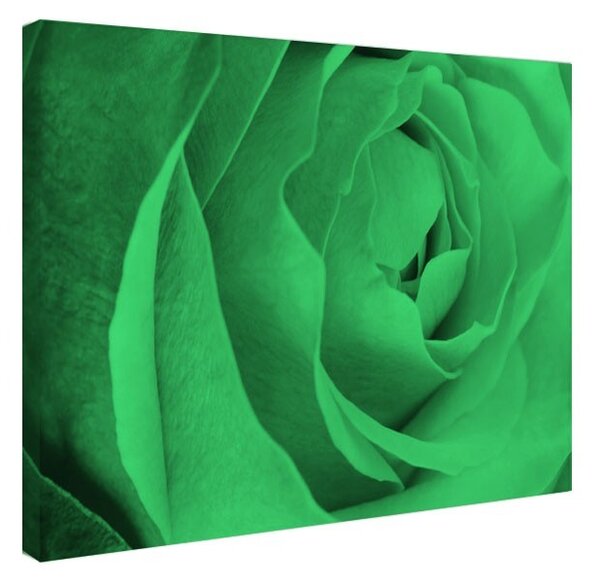 Tablou fosforescent Trandafir roz