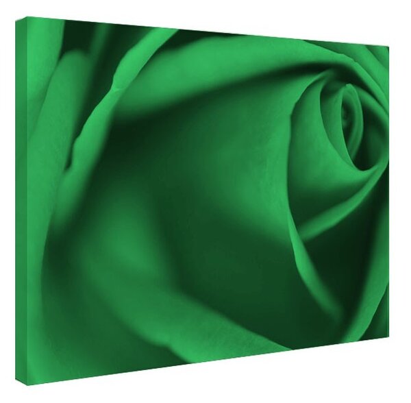 Tablou fosforescent Trandafir perfect