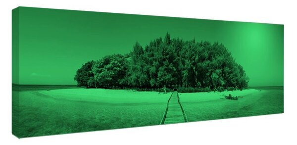 Tablou fosforescent Insula