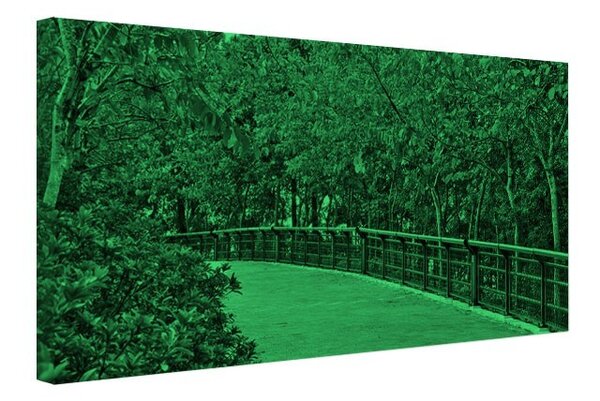 Tablou fosforescent Alee in gradina