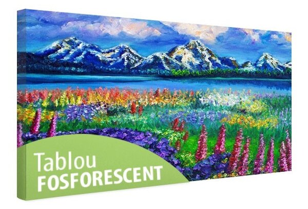 Tablou fosforescent Flori si munti