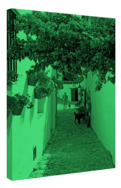 Tablou fosforescent Vacanta in Spania