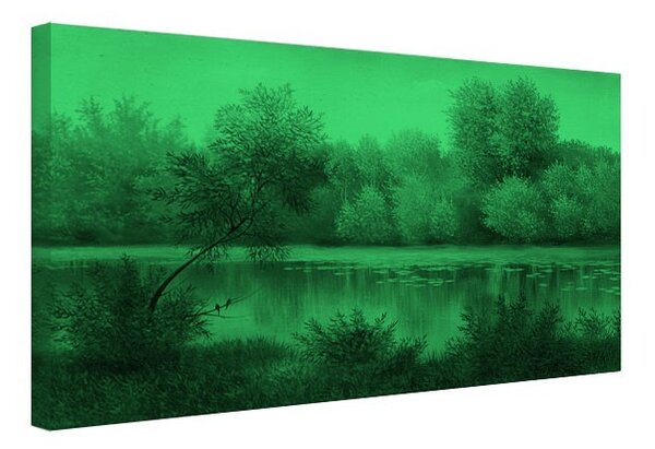 Tablou fosforescent Lac de vara