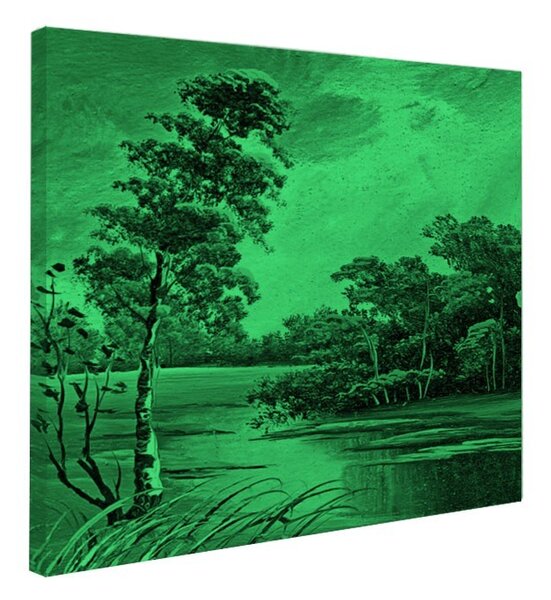 Tablou fosforescent Peisaj de vara