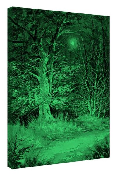 Tablou fosforescent Padure noaptea