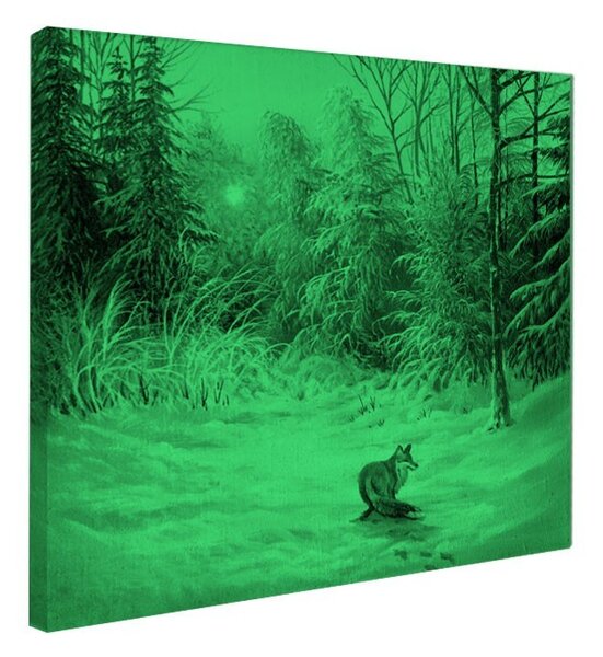 Tablou fosforescent Peisaj de iarna