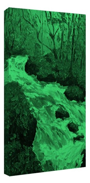 Tablou fosforescent Parau