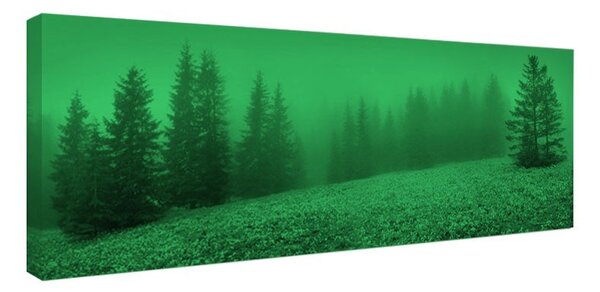 Tablou fosforescent Peisaj carpatin