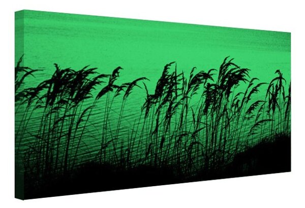 Tablou fosforescent Trestie si papura