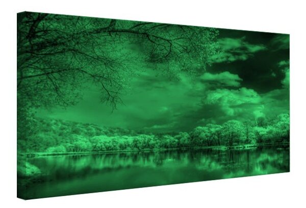 Tablou fosforescent Padurea in format digital