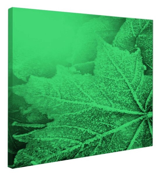 Tablou fosforescent Frunze textura de iarna