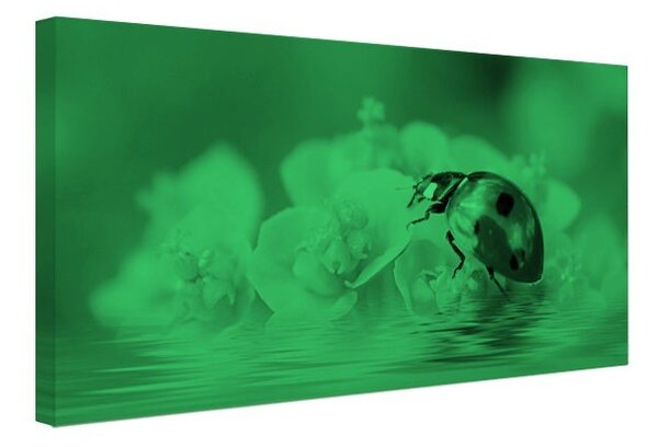 Tablou fosforescent Gargarita
