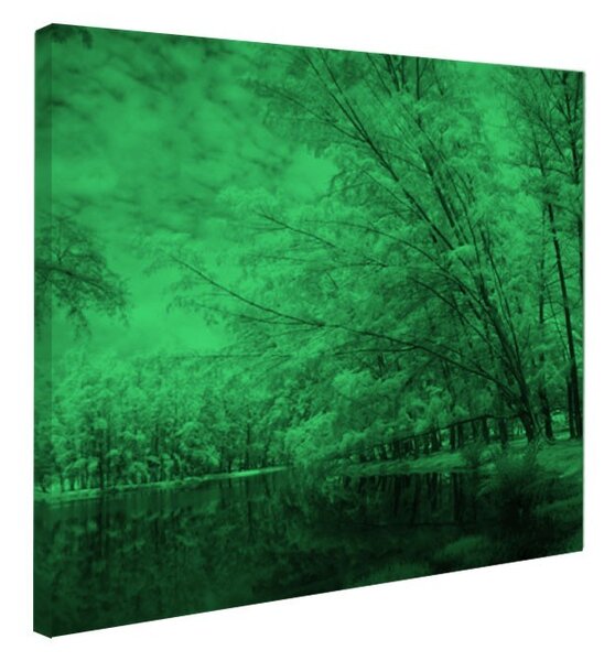 Tablou fosforescent Lacul si copacii