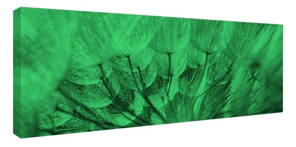 Tablou fosforescent Papadie