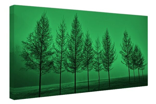 Tablou fosforescent Ceata