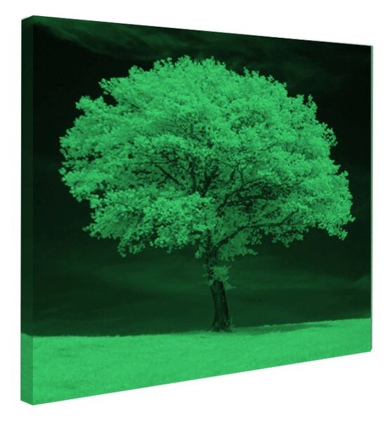 Tablou fosforescent Copac alb