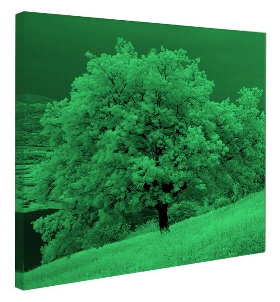 Tablou fosforescent Copac iarna