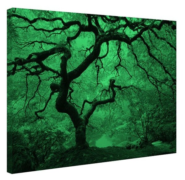 Tablou fosforescent Artar toamna