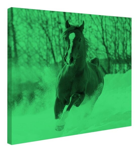 Tablou fosforescent Manz prin zapada