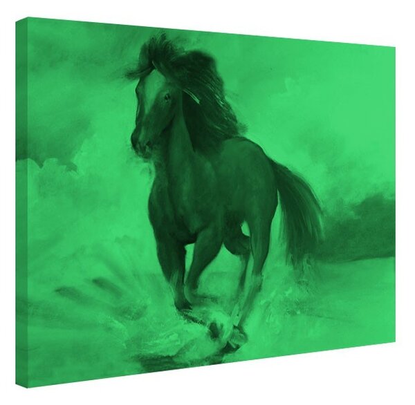 Tablou fosforescent Cal in galop