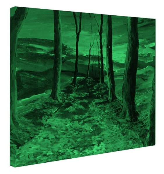 Tablou fosforescent Drum de toamna