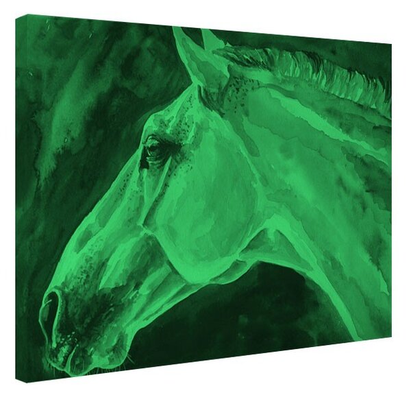 Tablou fosforescent Cal albastru