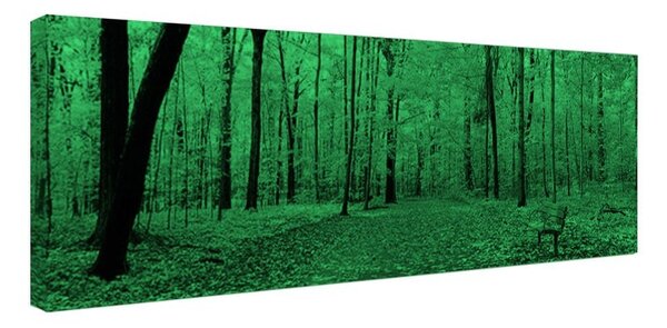 Tablou fosforescent Panorama de toamna