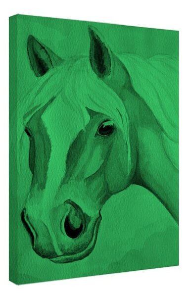 Tablou fosforescent Cal Haflinger