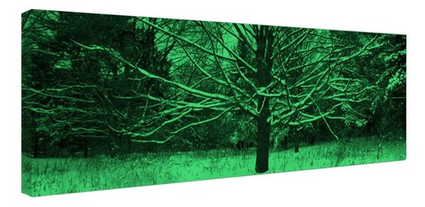 Tablou fosforescent Inzapezit