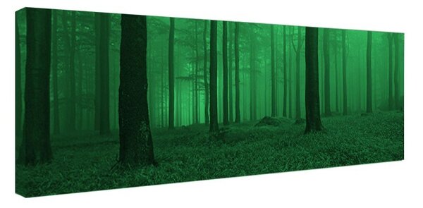 Tablou fosforescent Dimineata in padure