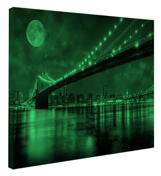 Tablou fosforescent Brooklyn
