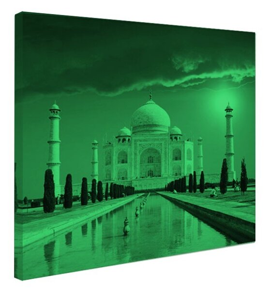 Tablou fosforescent Taj Mahal