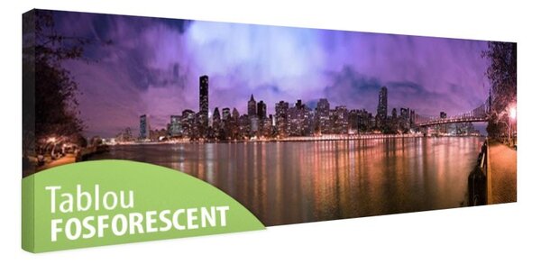 Tablou fosforescent Manhattan noaptea