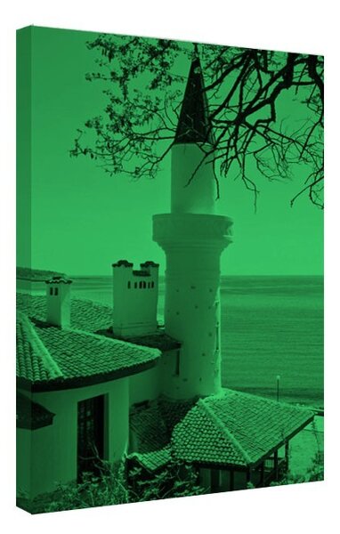 Tablou fosforescent Moschee la malul marii