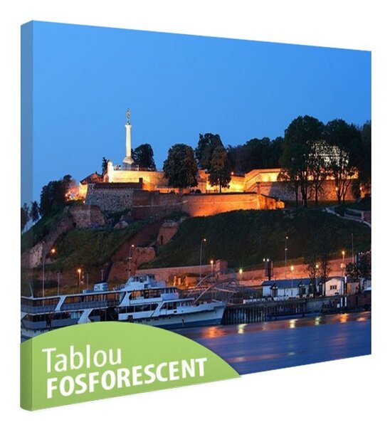 Tablou fosforescent Cetatea Kalemegdan