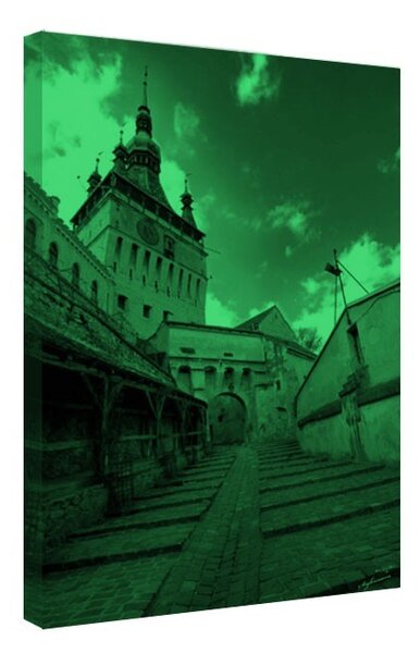 Tablou fosforescent Cetatea Sighisoara