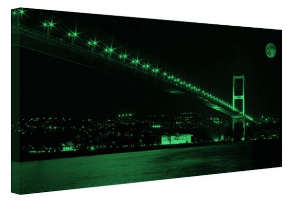 Tablou fosforescent Podul Bosfor