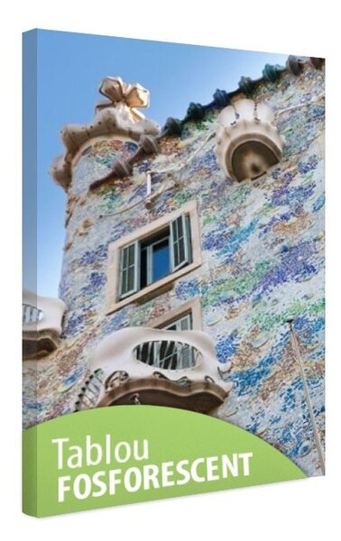 Tablou fosforescent Casa de Gaudi