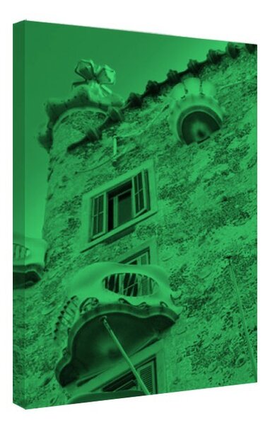 Tablou fosforescent Casa de Gaudi