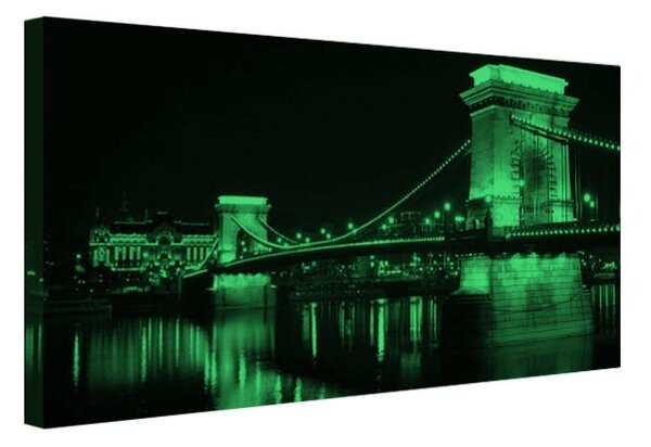 Tablou fosforescent Budapesta Pod