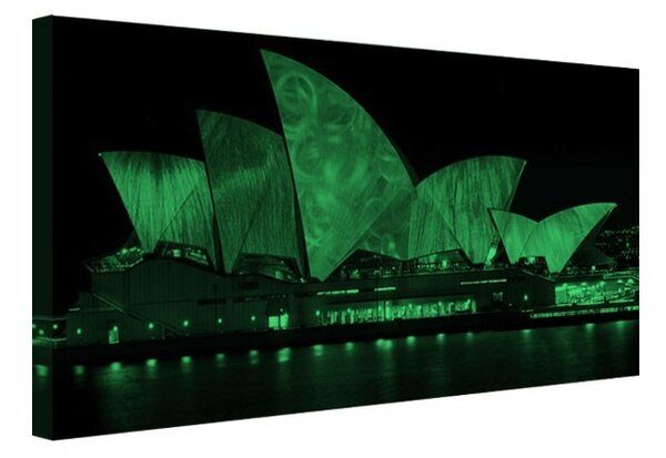 Tablou fosforescent Opera din Sydney