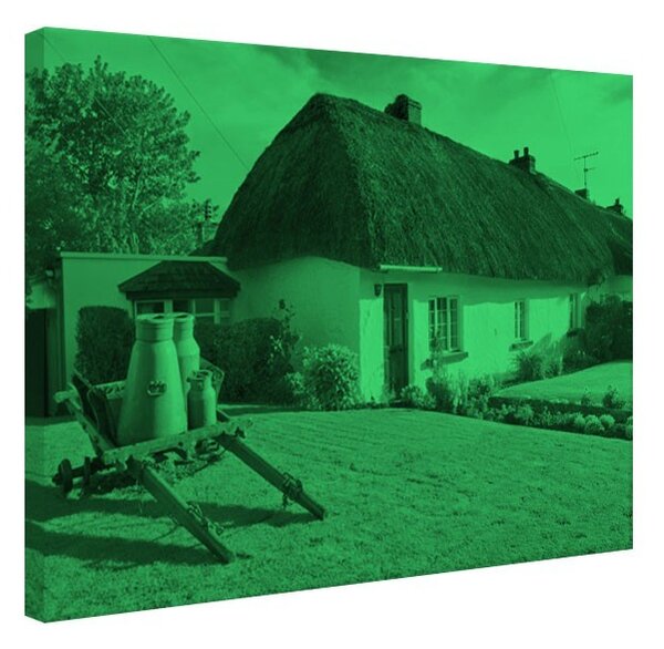Tablou fosforescent Casa traditionala in Irlanda