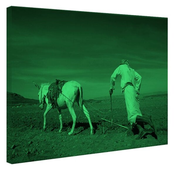 Tablou fosforescent La origini