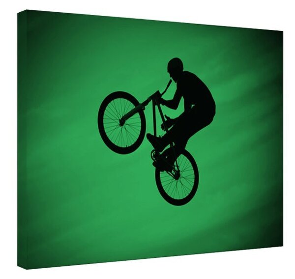 Tablou fosforescent Airbike