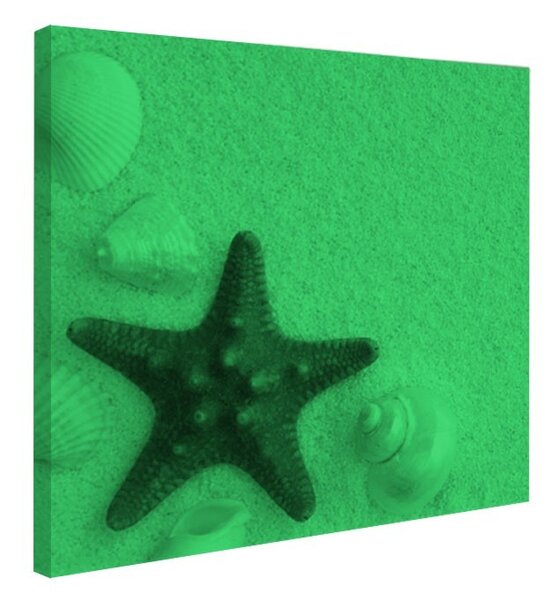 Tablou fosforescent Stea de mare rosie
